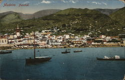 Madeira Funchal Portugal Postcard Postcard Postcard