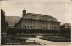 Universitar Postcard