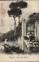 Strada della Migliera - Eden Hotel Molaro Anacapri, Italy Postcard Postcard