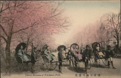 Cherry Blossoms at Yokohama Park, Rickshaws Japan Postcard Postcard