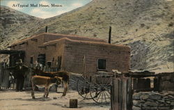 A typical mud house Postcard