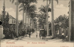 10th. Avenue Belleville Barbados Caribbean Islands Postcard Postcard