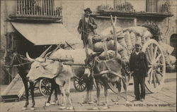 Napoli - Carru da Transporto Postcard