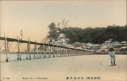 Whole view of Yenoshima Japan Postcard Postcard