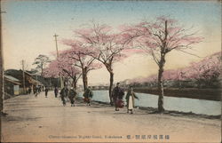 Cherry blossoms, Negishi Canal Yokohama, Japan Postcard Postcard