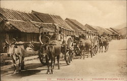 Bullock Carts Japan Postcard Postcard