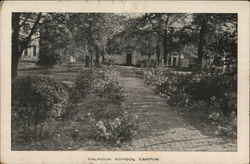 Calhoun School Campus Postcard