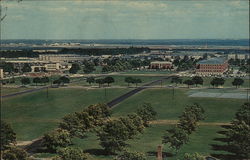 View of Fort Dix Looking Toward Headquarters New Jersey Postcard Postcard Postcard