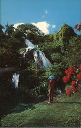 Waterfall in Shaw Park Gardens Postcard