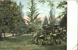 Walnut Park Postcard