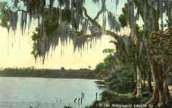 On Lake Hollingsworth Lakeland, FL Postcard Postcard