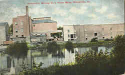 Steeleville Milling Co.'s Flour Mills Postcard