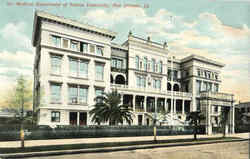 Medical Department Of Tulane University Postcard