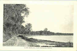 Lake Ripley Litchfield, MN Postcard Postcard