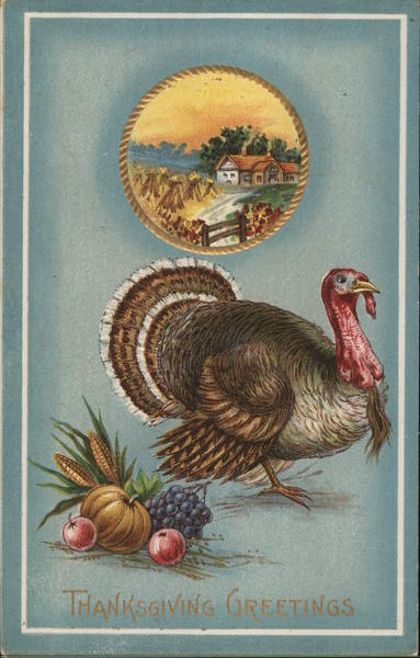 Thanksgiving Greetings Turkeys Postcard