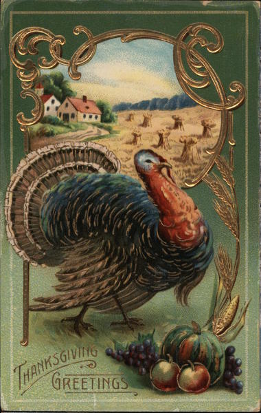 Thanksgiving Greetings - Turkey Turkeys Postcard