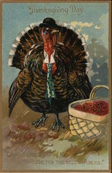 Cranberries! Me For the Tall Timbers. Turkeys Postcard Postcard Postcard