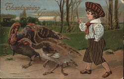 Herding Turkeys Postcard