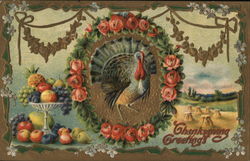 Thanksgiving Greetings Postcard