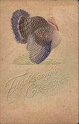 Thanksgiving Greetings Turkeys Postcard Postcard Postcard