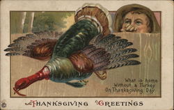 Thanksgiving Greetings Postcard