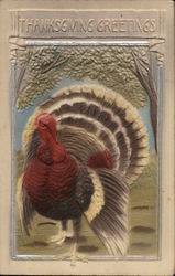 Thanksgiving Greetings - Turkey Postcard