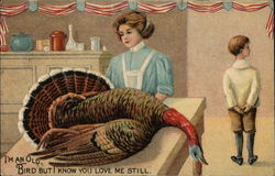 I'm an old bird, but you love me still. Turkeys Postcard Postcard Postcard