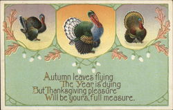 Thanksgiving Pleasure Postcard