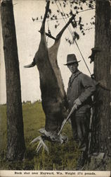 374 Pound Buck Shot Near Hayward Wisconsin Postcard Postcard Postcard