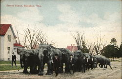 Street Scene Postcard