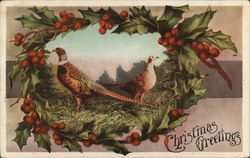 Christmas Greetings Postcard Postcard Postcard