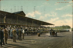 Auto Polo Match Postcard