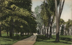 Lovers Lane in Union College Grove Postcard