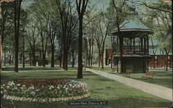 Wisner Park Elmira, NY Postcard Postcard Postcard