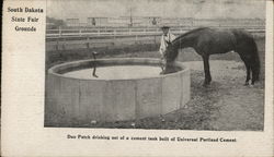 South Dakota State Fair Grounds Postcard