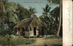 Native Hut, Puerto Rico Postcard