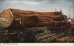 Log Section on Railroad Cars Postcard