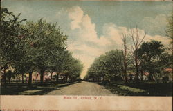 Looking Along Main Street Postcard