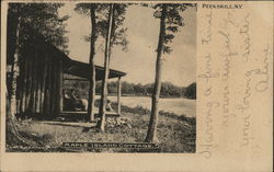 Maple Island Cottage Peekskill, NY Postcard Postcard Postcard