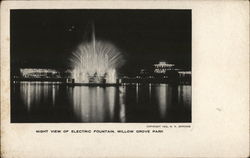 Night View of Electric Fountain, Willow Grove Park Postcard