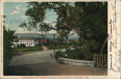 University of California (State University) Berkeley, CA Postcard Postcard Postcard