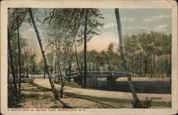 A Beauty Spot in Central Park Schenectady, NY Postcard Postcard Postcard