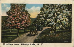 Greetings, Scenic View Whaley Lake, NY Postcard Postcard Postcard