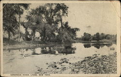 Ganargua River Lyons, NY Postcard Postcard Postcard