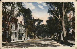 Chestnut Street Postcard