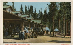 Lake Camp, Yellowstone Park Postcard