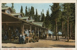 Lake Camp, Yellowstone National Park Postcard