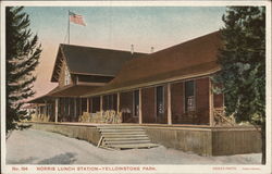 Norris Lunch Station, Yellowstone Park Postcard