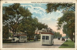 Double Deck Motor Busses on Lincoln Park Drive Chicago, IL Postcard Postcard Postcard