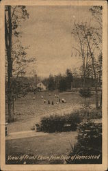 View of Front Lawn from Door Homestead Postcard